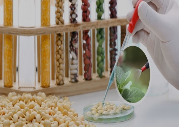 1708933061d104bc 1708933061d104bc