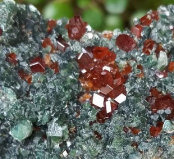 1709021147b4097e 1709021147b4097e