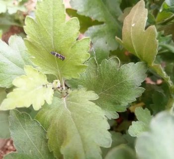 170917010402d60a 170917010402d60a