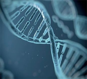 17091775726b9d82 17091775726b9d82