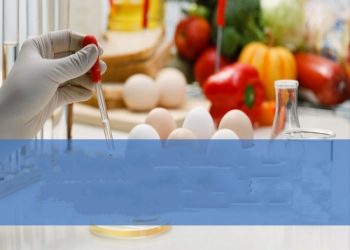 1709191248dcbe04 1709191248dcbe04